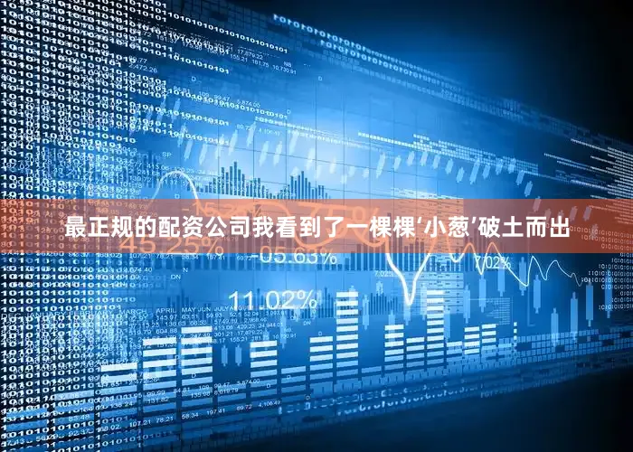 最正规的配资公司我看到了一棵棵‘小葱’破土而出